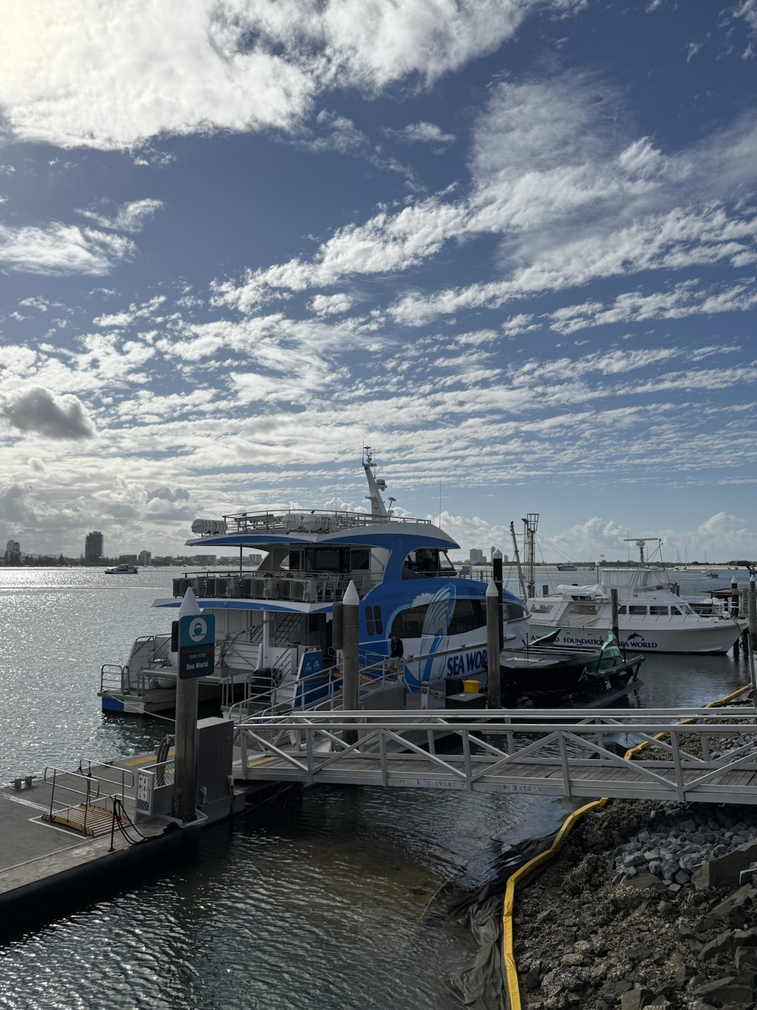 Blue-and-white Sea World Cruises boat moored beside the boarding pontoon